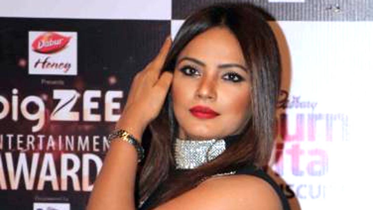 Neetu Chandra excited about her Hollywood debut 'Never Back Down - Revolt'