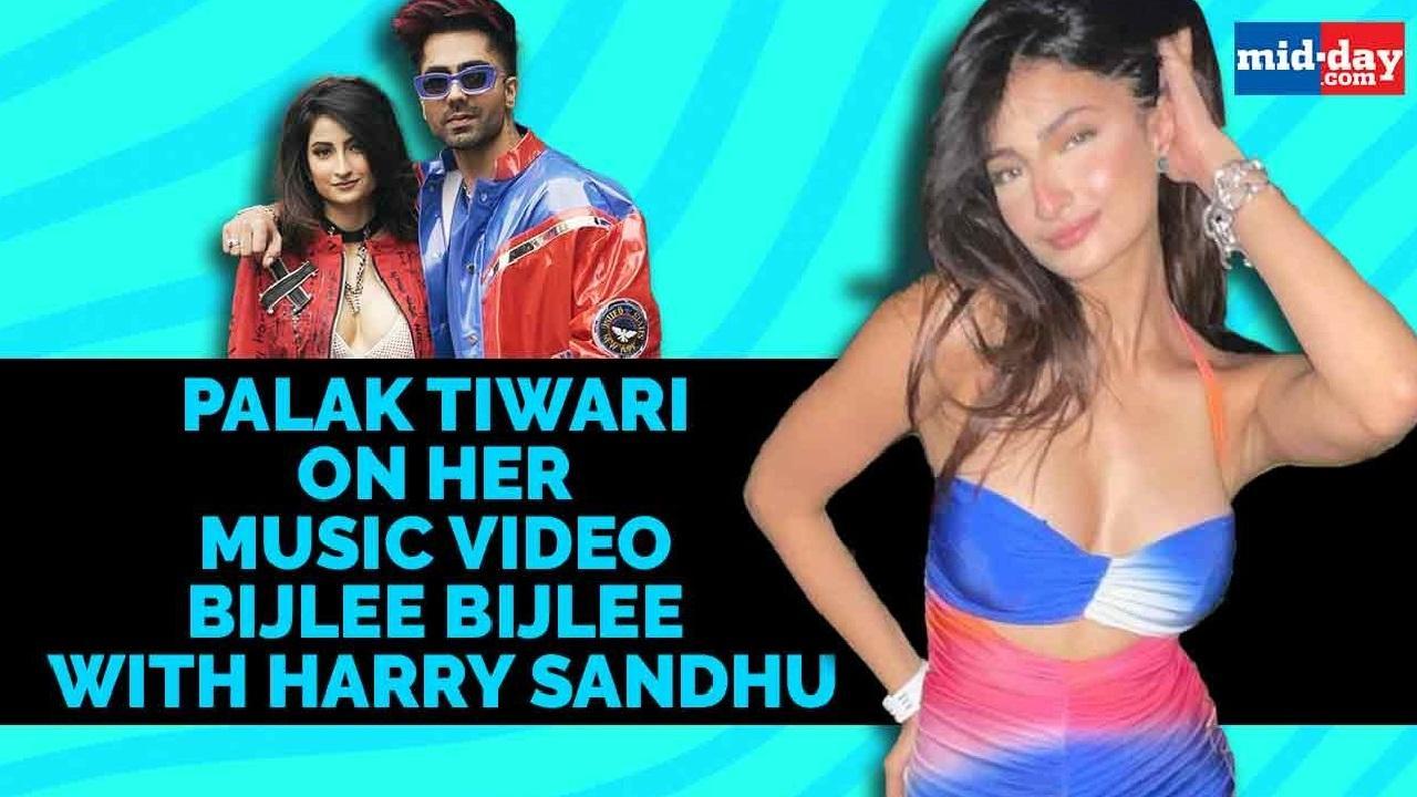 Palak Tiwari on her music video Bijlee Bijlee with Harry Sandhu