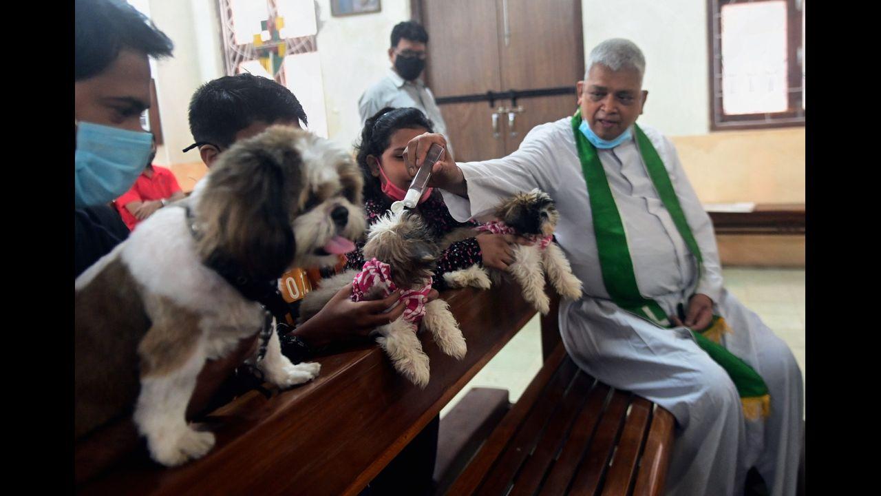 Fr Joe D’Souza, parish priest of the church and Port Chaplain stated that he expects dogs, cats, birds and fish to be brought in by their owners. 'I do get some unusual pets though,' he said. Pic/Bipin Kokate