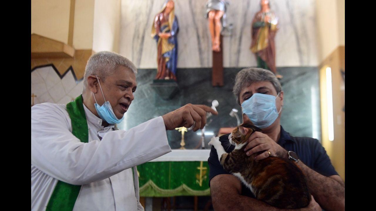 Pet Blessings Day, organised at St John the Evangelist Church in Ballard Estate, is marked every year on the second Sunday of October. Pic/Bipin Kokate