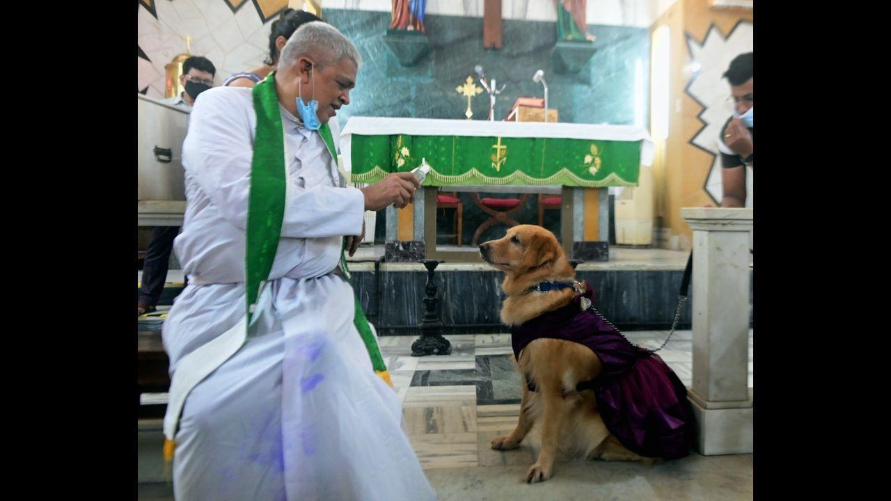 Pet Blessing Day at St. John The Evangelist church in Mumbai. Pic/Bipin Kokate