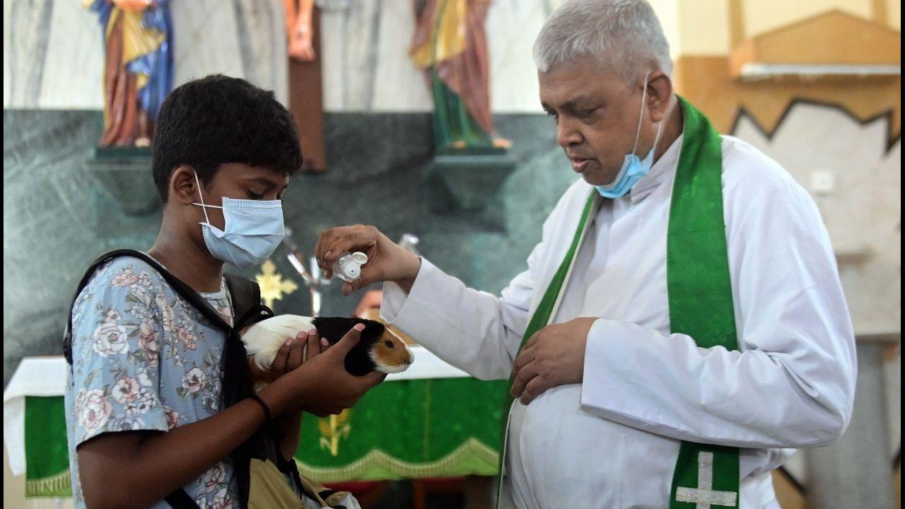 The year before last, Fr. D’Souza had to bless an iguana—a type of lizard. 'I remember the iguana was quite small when it was brought here,' recalled the priest. Pic/Bipin Kokate