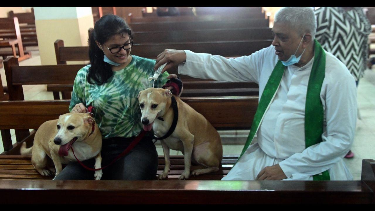Father Dsouza blesses two Labrador dogs at the St. John the Evangelist Church. Pic/Bipin Kokate
