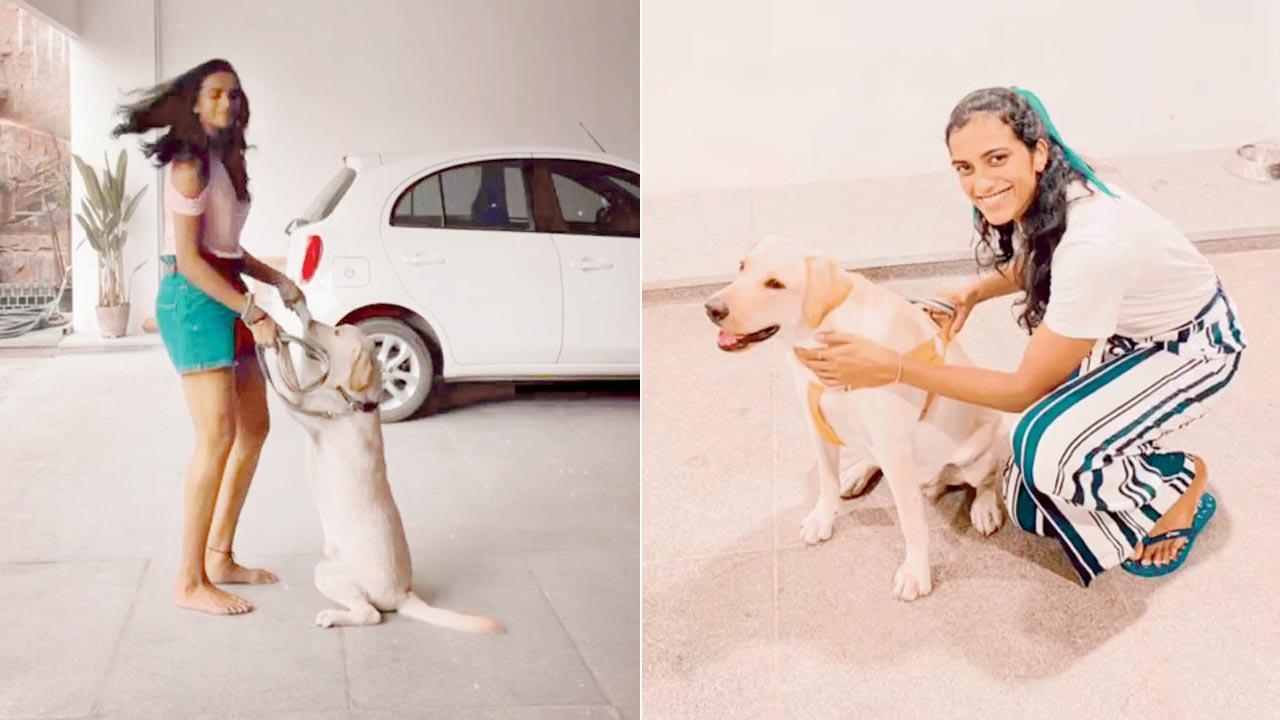 Sindhu, Rio have pawsome time