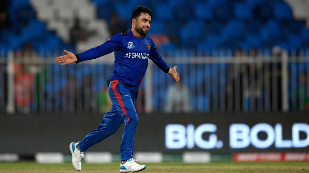 T20 World Cup: 'It's not about just going across for every ball and hitting it harder,' says Rashid Khan