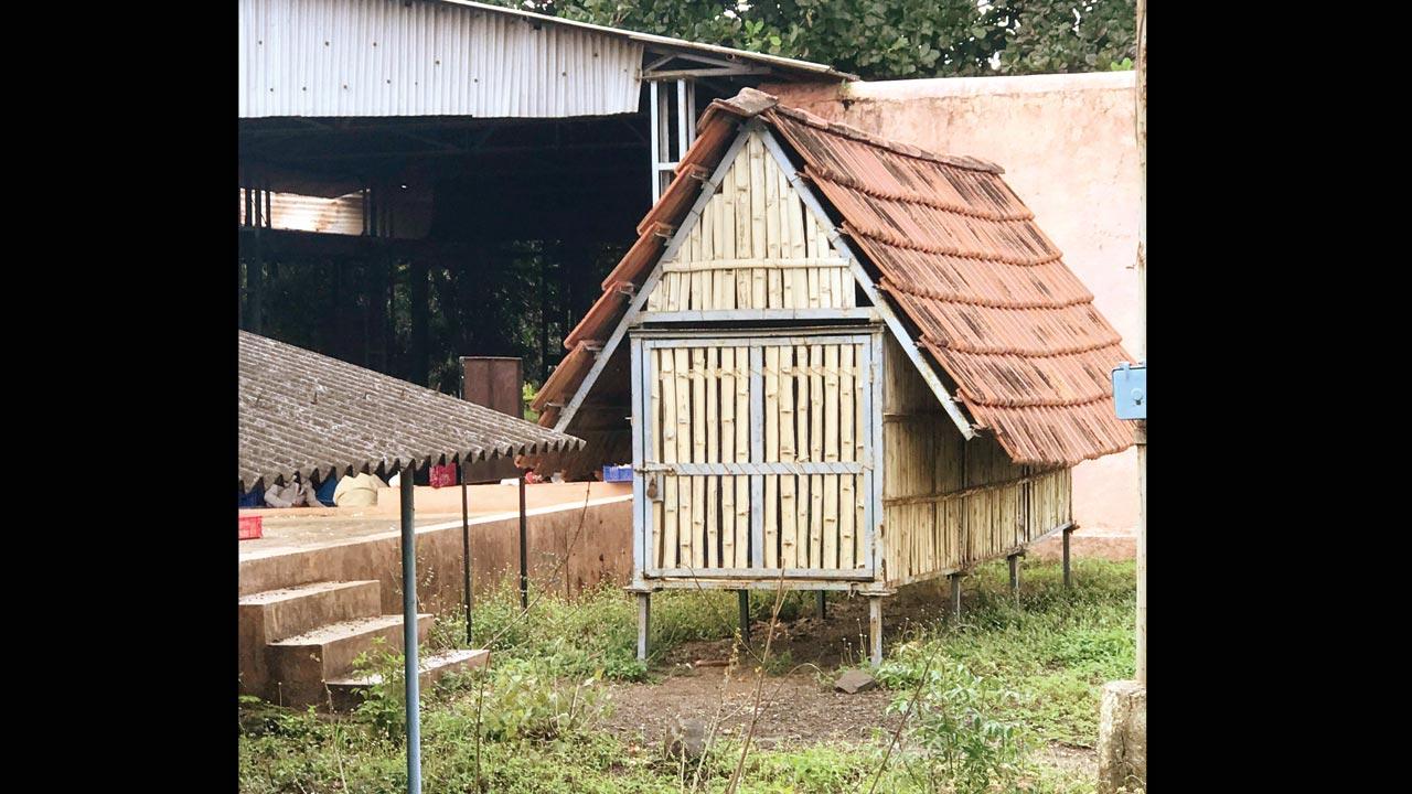 A traditional roofed structure for storage of onions