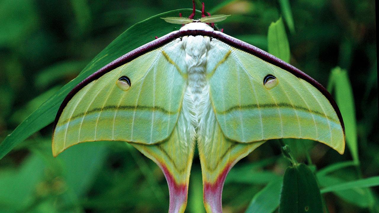 Mothing else matters