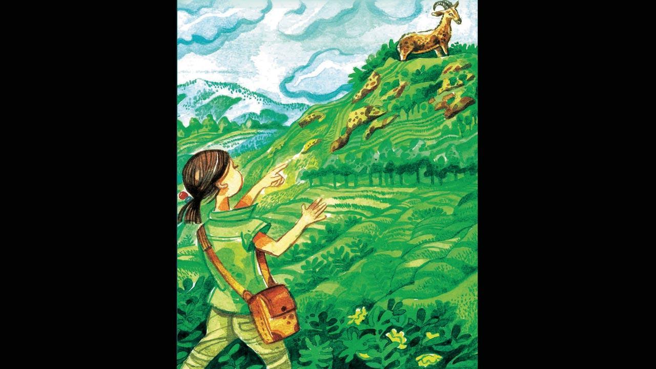 Booked for the Nilgiris