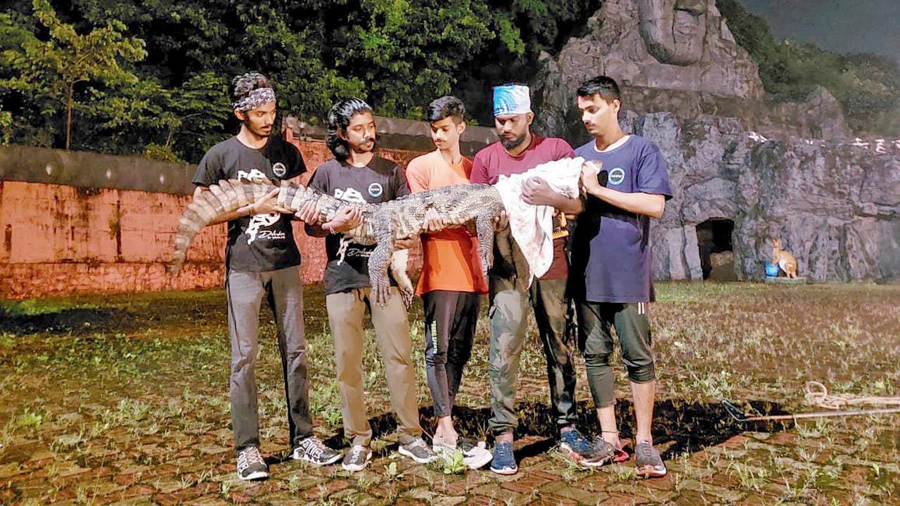 Thane: Seven-foot croc rescued from Suraj Water Park
