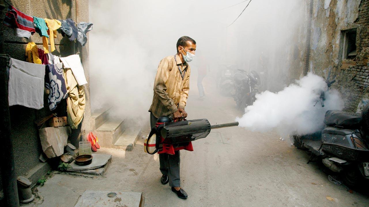 Dengue type 2 cases rise, prevention key, say experts
