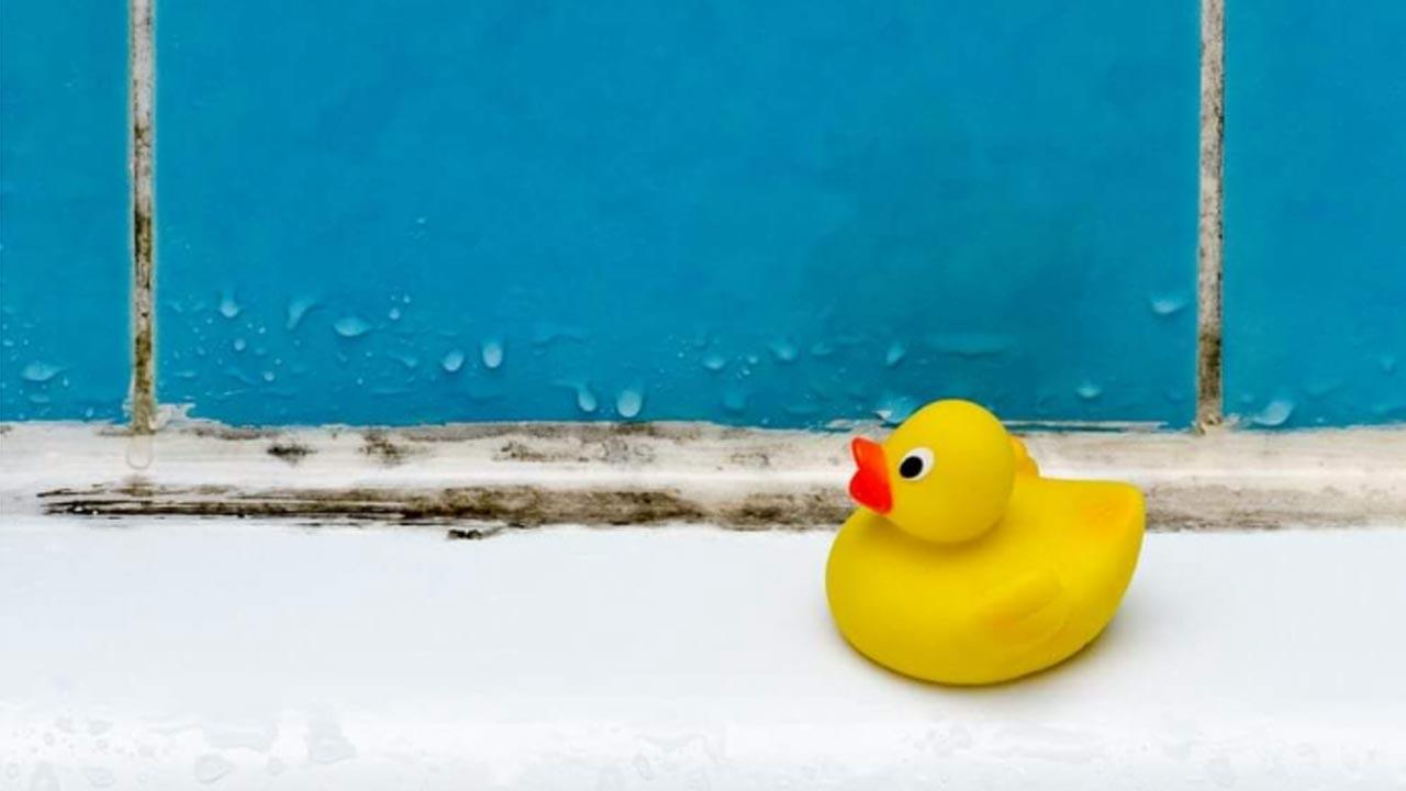5 Ways To Keep Bathroom Humidity Down