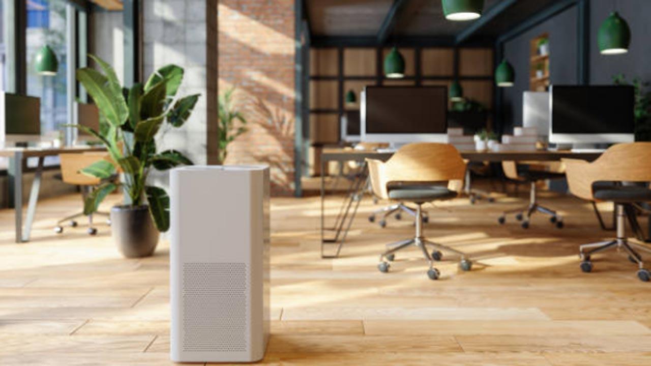 Indian scientists develop plant-based air purifier