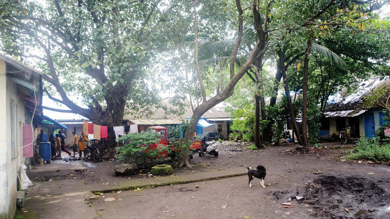 The area where the child was playing when the big cat grabbed his head. Pics/Satej Shinde