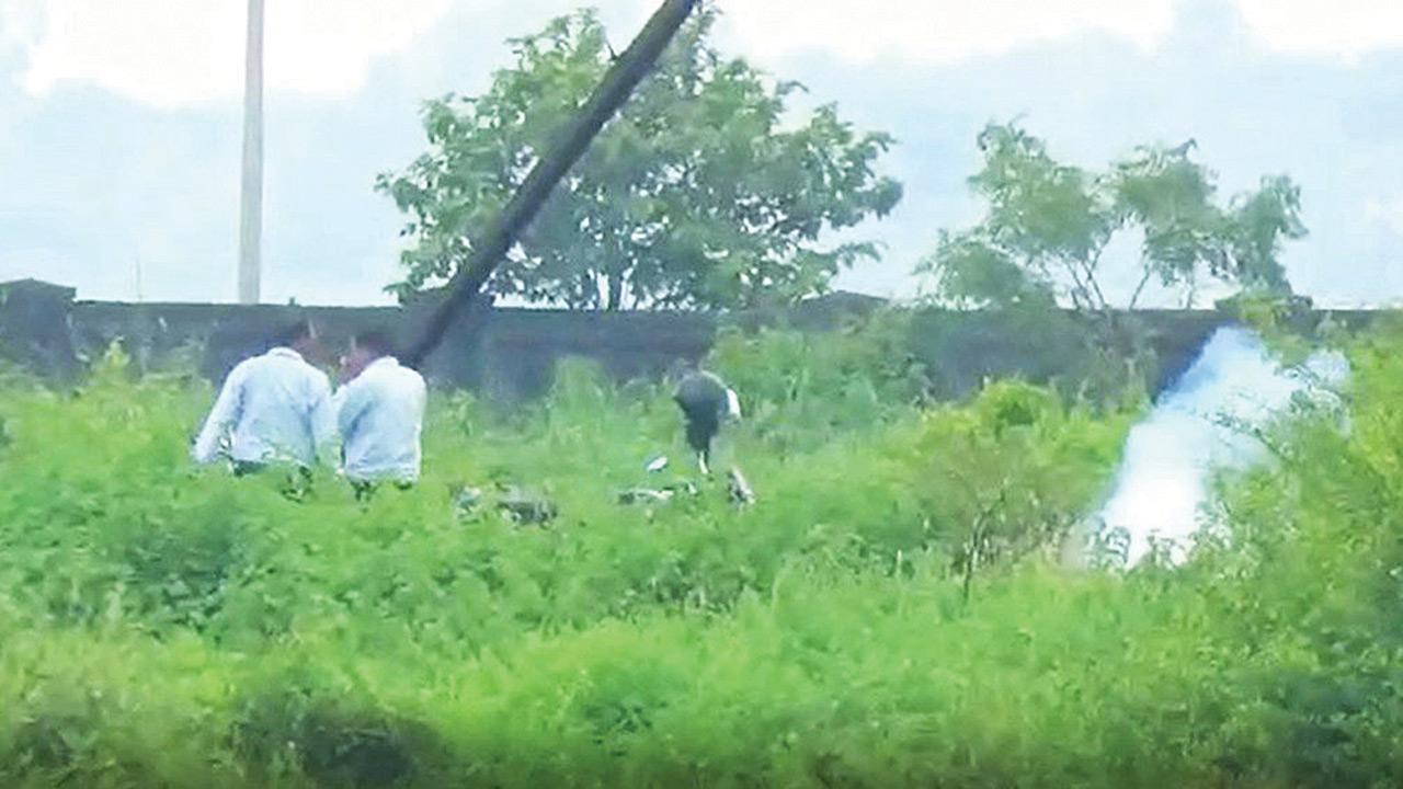 Navi Mumbai: Incidents of using firecrackers to scare away birds in Panje wetlands in Uran continue