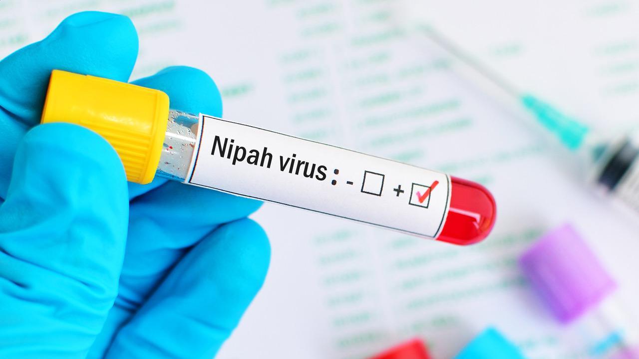 Eating fallen fruits without washing dangerous: AIIMS top expert on Nipah virus