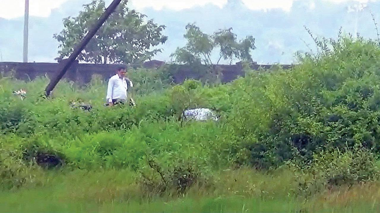 Ensure safety of birds at Panje, Collector, CIDCO told