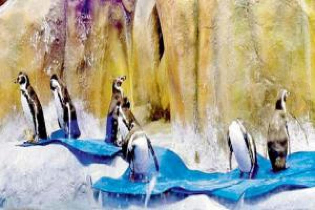 Mumbai: Congress criticises civic body tender for upkeep of penguins in Byculla zoo