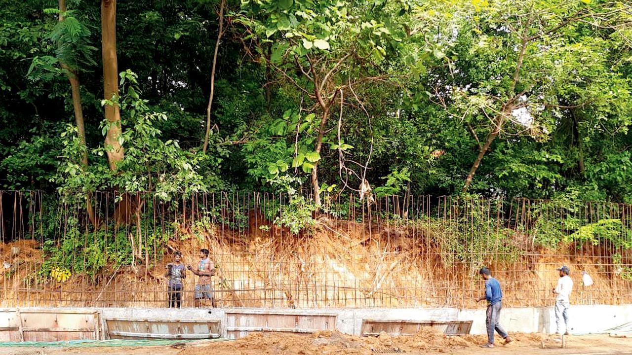 Walls near forest areas curbing wildlife movement: Environmentalist writes to CM Uddhav Thackeray