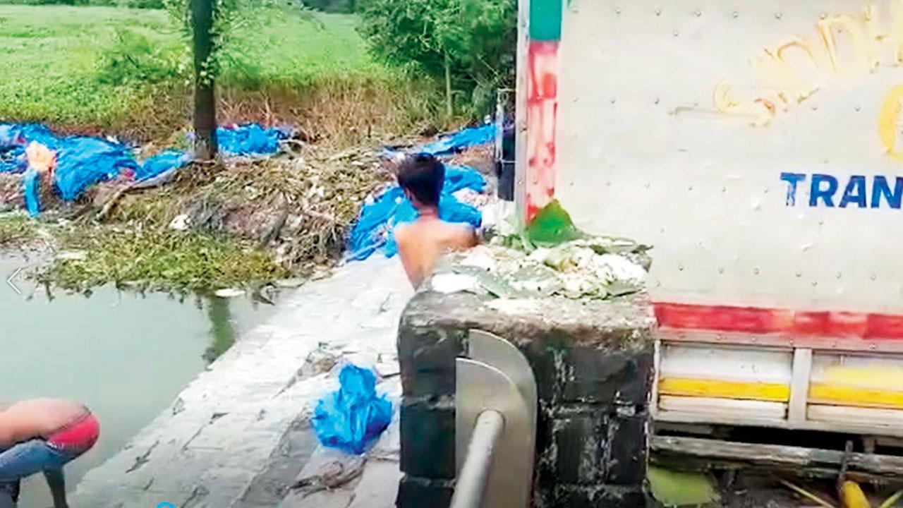 BMC dumping Ganpati idols in Powai lake, says activist