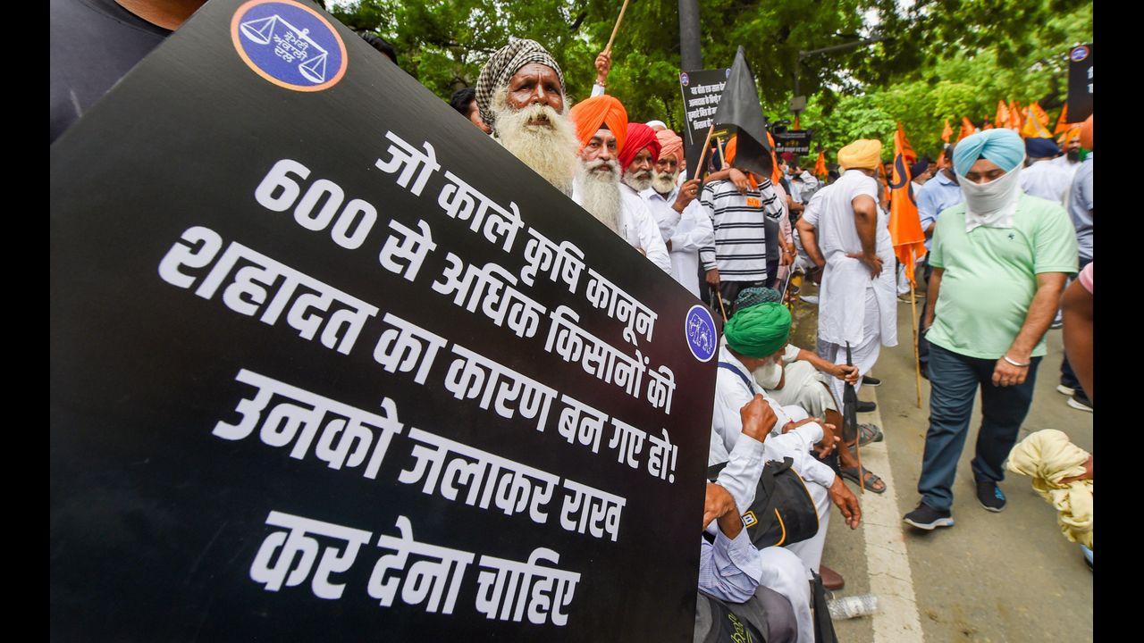The protesting farmers have been demanding the repeal of the laws which they feel will do away with the MSP system, leaving them at the mercy of big corporations. Pic/PTI