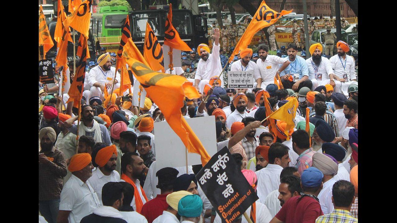 The government has insisted that these laws have given farmers a new opportunity to sell their produce and rejected claims that they are aimed at doing away with the minimum support price regime and farm mandis. Pic/Pallav Paliwal