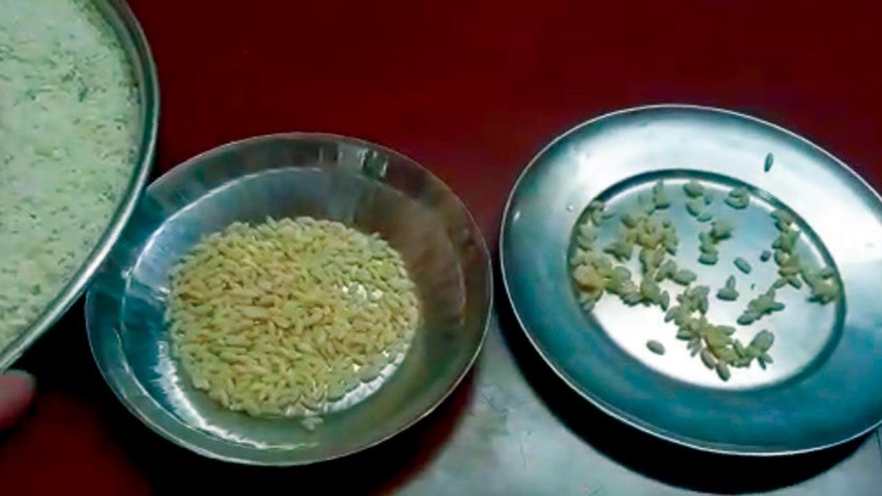 Malad school sent ‘plastic’ rice in mid-day meals