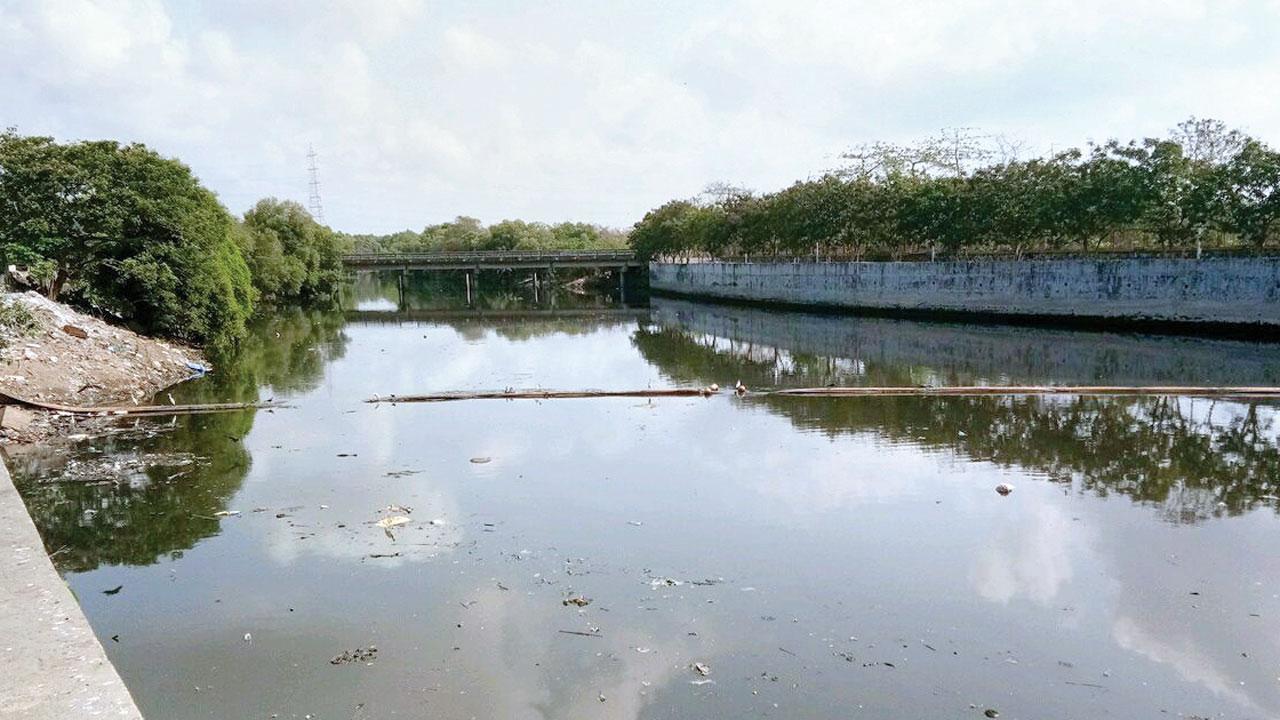 BMC to shell out Rs 1,300 crore for sewage treatment plants