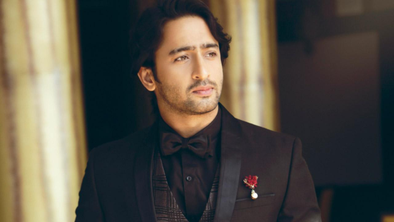 EXCLUSIVE! Shaheer Sheikh: The moment I got into costume on the 'Pavitra Rishta' sets, I became Manav