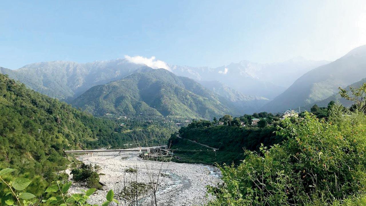The study, which was published on September 13, focuses on plantations in Himachal Pradesh’s Kangra between 1965 and 2018