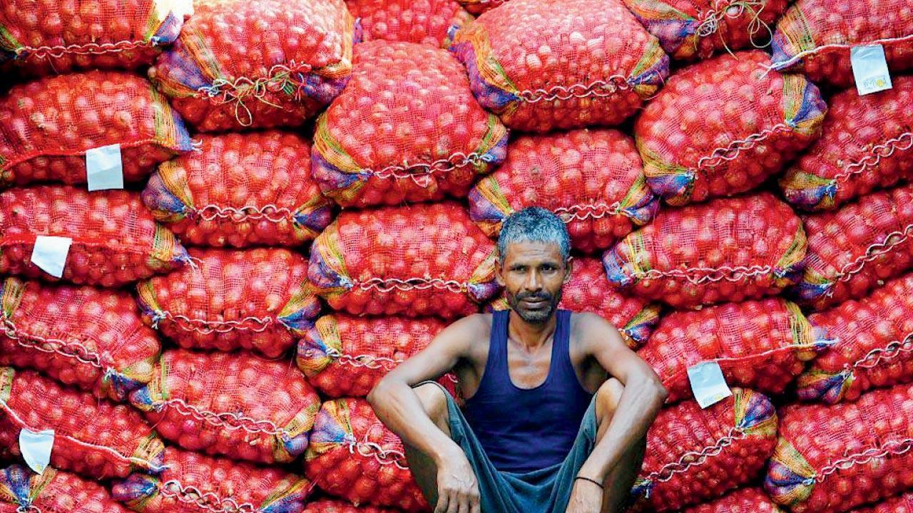 WPI inflation rises to 11.39 per cent in August on costlier manufacturing goods; food prices soften