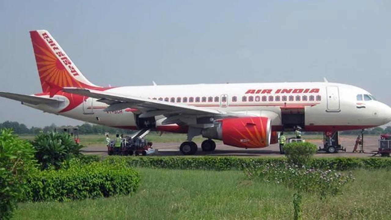 Chhattisgarh: Delhi-bound Air India flight abandons take off after bird-hit at Raipur airport