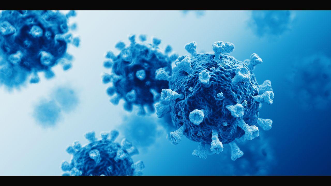 Coronavirus epidemic first hit over 21,000 years ago: Study
