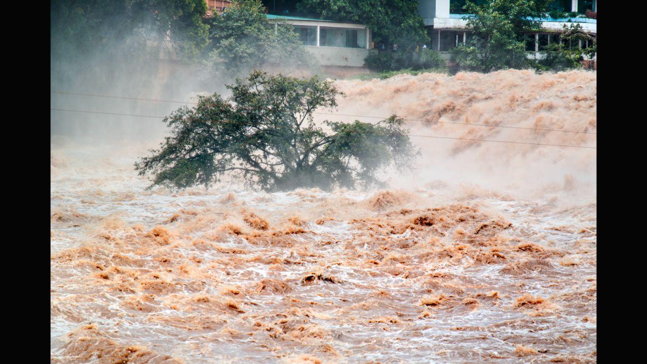 Maharashtra: Torrential rain causes waterlogging in Jalgaon; houses, roads submerged