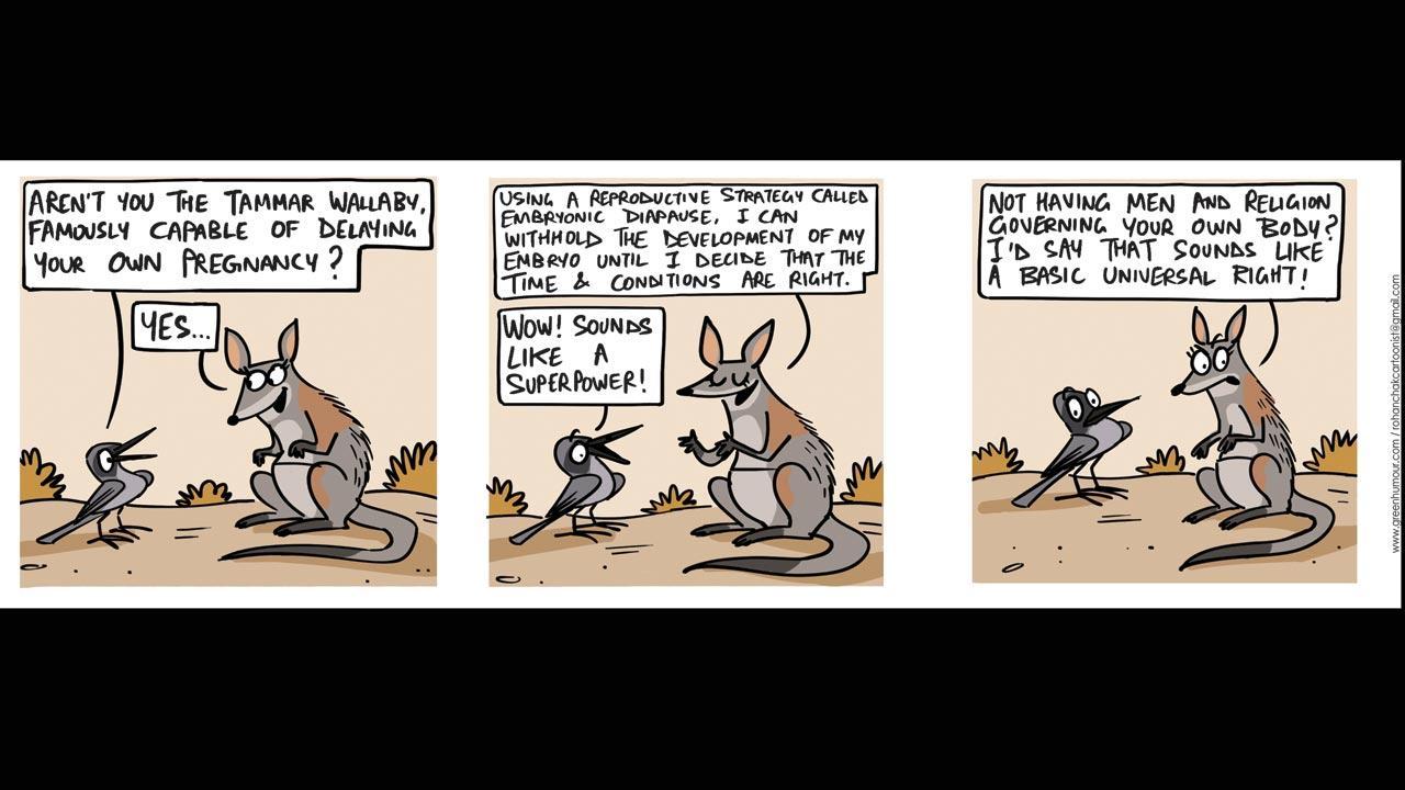 Green Humour: Comic Strip By Rohan Chakravarty
