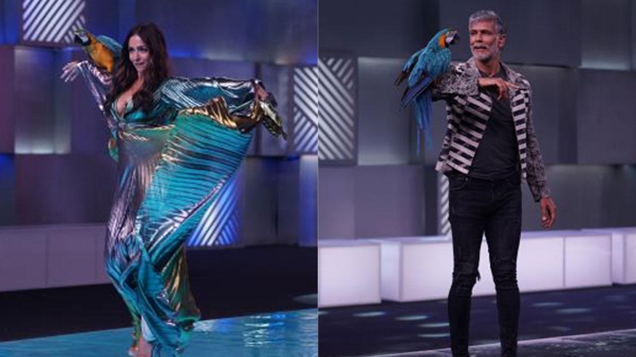 Malaika Arora and Milind Soman sizzle it up with their ramp walk on MTV Supermodel of the Year 2