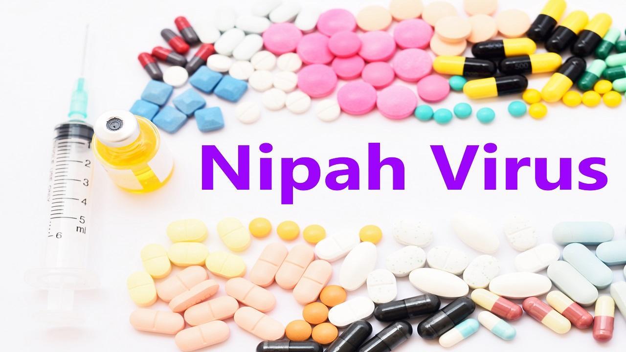 Kerala: Close contacts of child who died of Nipah test negative for virus