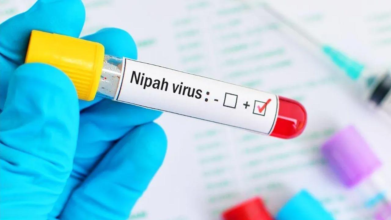 The Nipah scare: What went wrong in Kerala