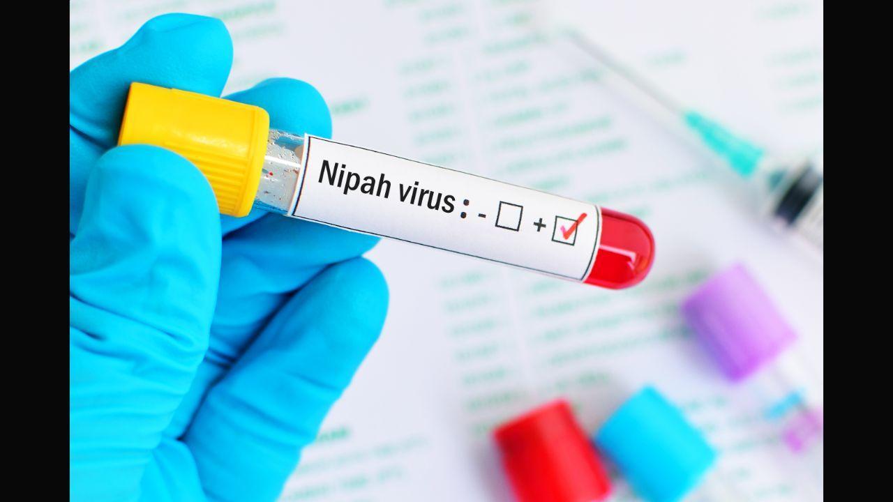 Kerala: 12-year-old dies due to Nipah virus infection; central team rushed to state