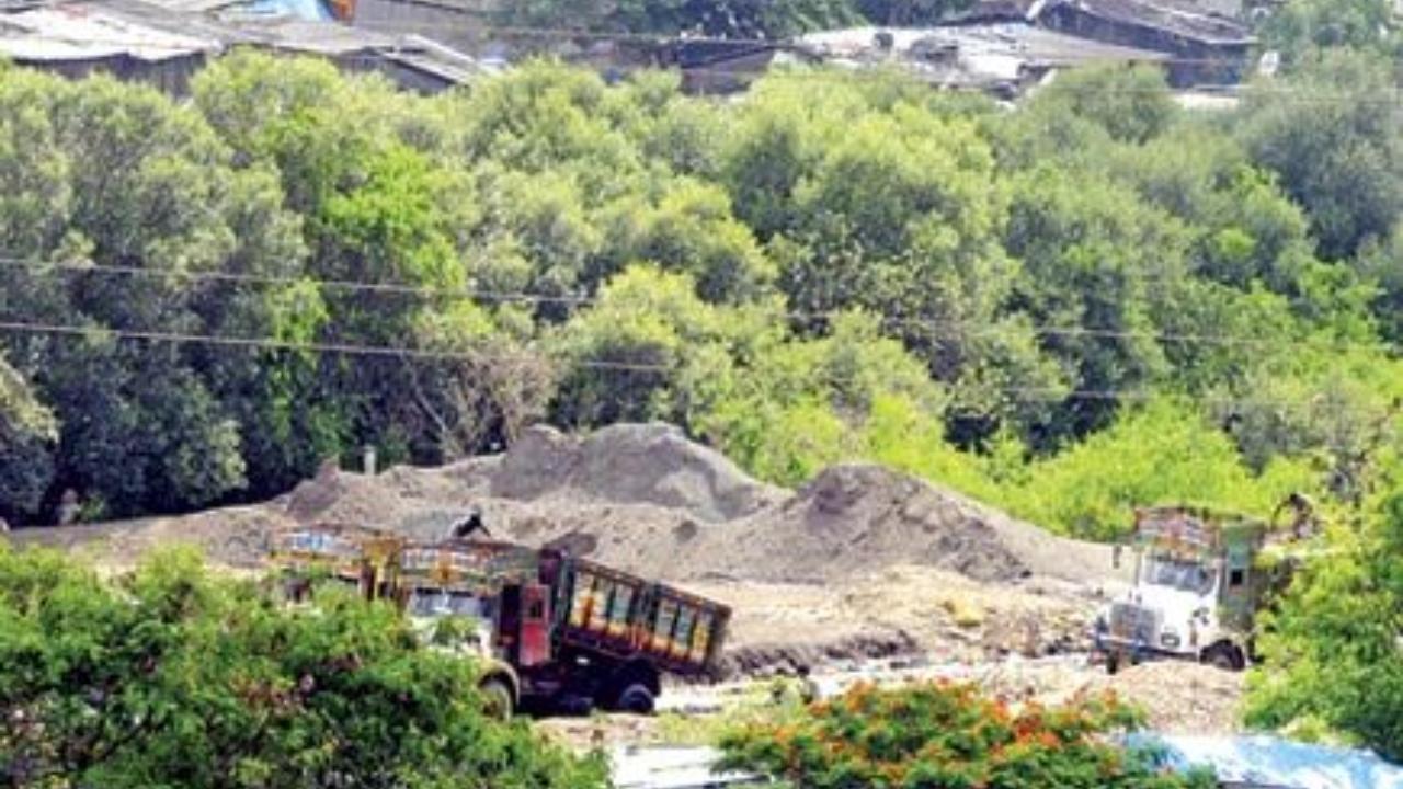 Install CCTV cameras to curb illegal sand mining in Goa: Bombay High Court