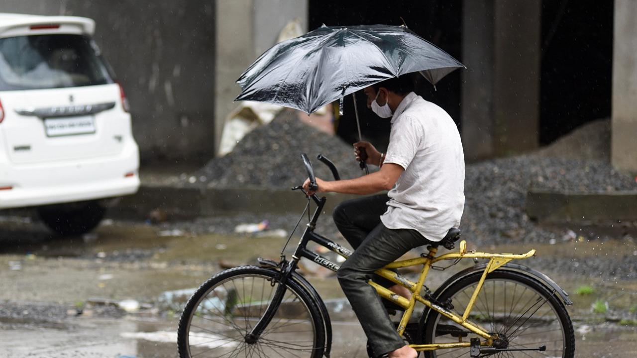 IMD issues yellow alert for 9 districts in Vidarbha; warns of heavy rains, thunderstorms