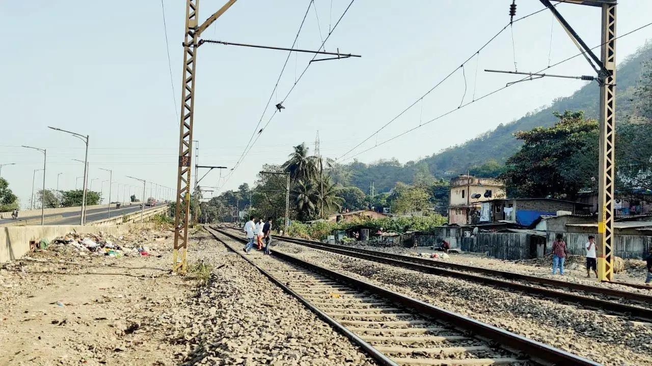 Two buffaloes run over by local train in Thane district