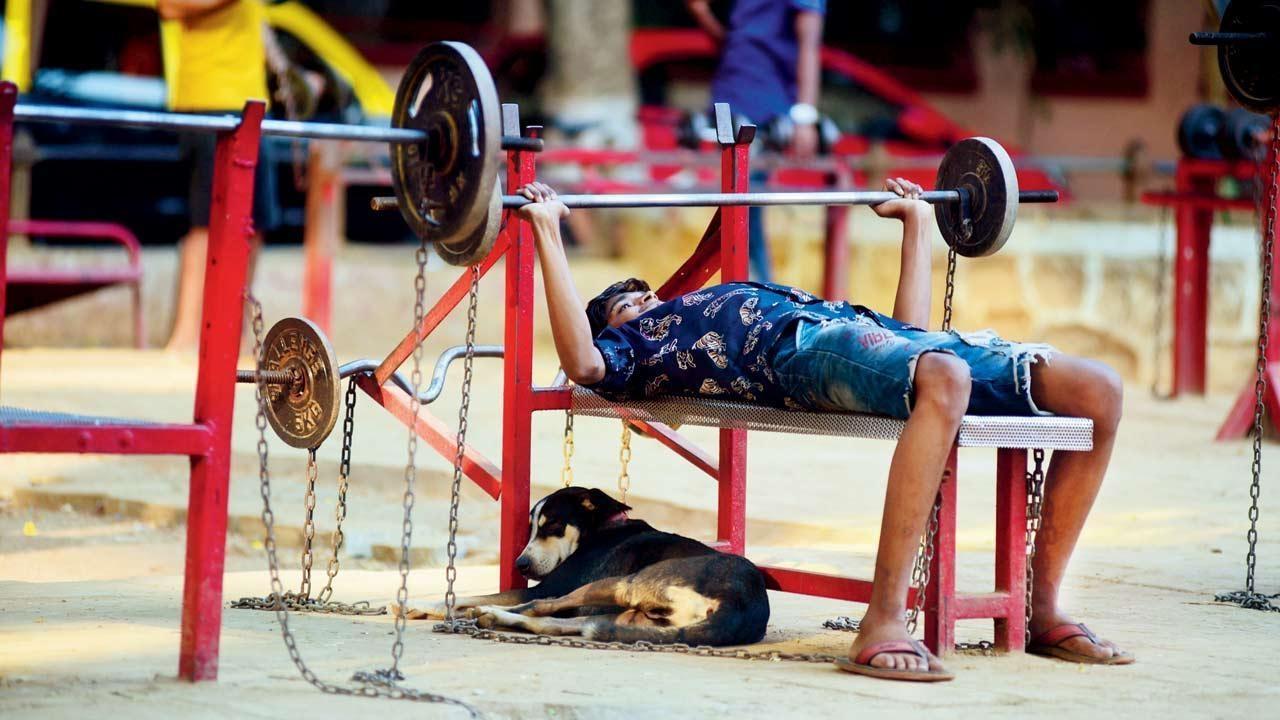 I rest, you slog: It is nap time for this dog while its human friend sweats it out at an open gym in Five Gardens, Matunga. Pic/Atul Kamble