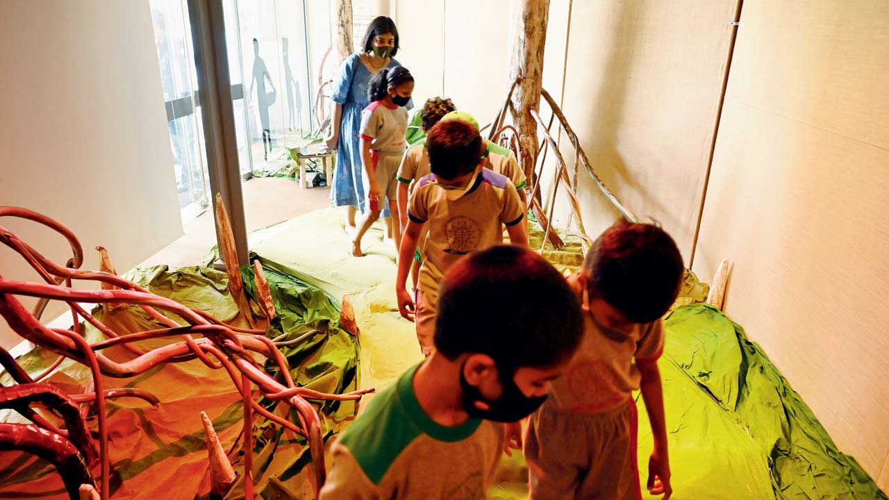 Children walk down the sensorial mangrove-bound pathway