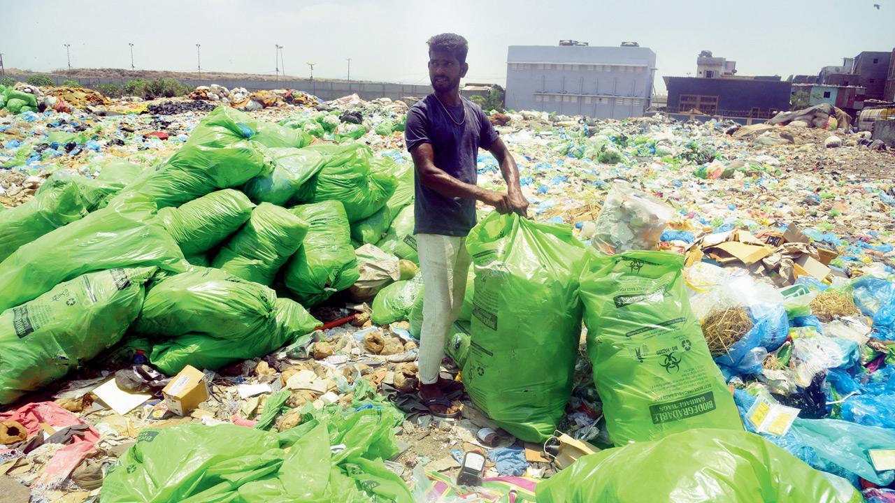 Deonar dumping ground to shut by 2025 Deonar dumping ground to shut by 2025