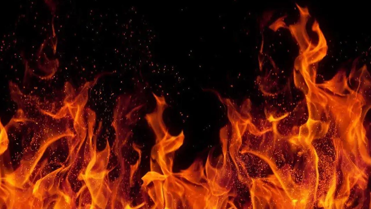 Delhi: Fire breaks out a house in Badli extension, 8 rescued