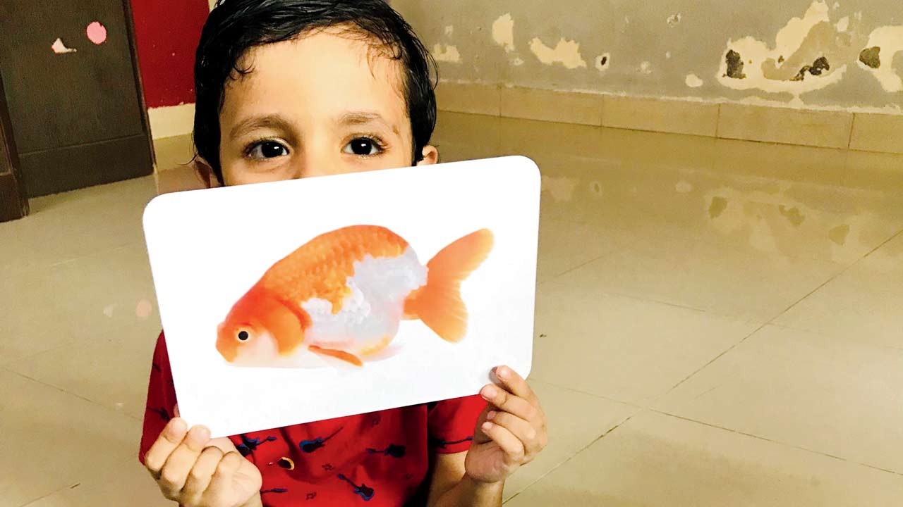 The kid spots a goldfish. Pics/Aparna Chaudhri