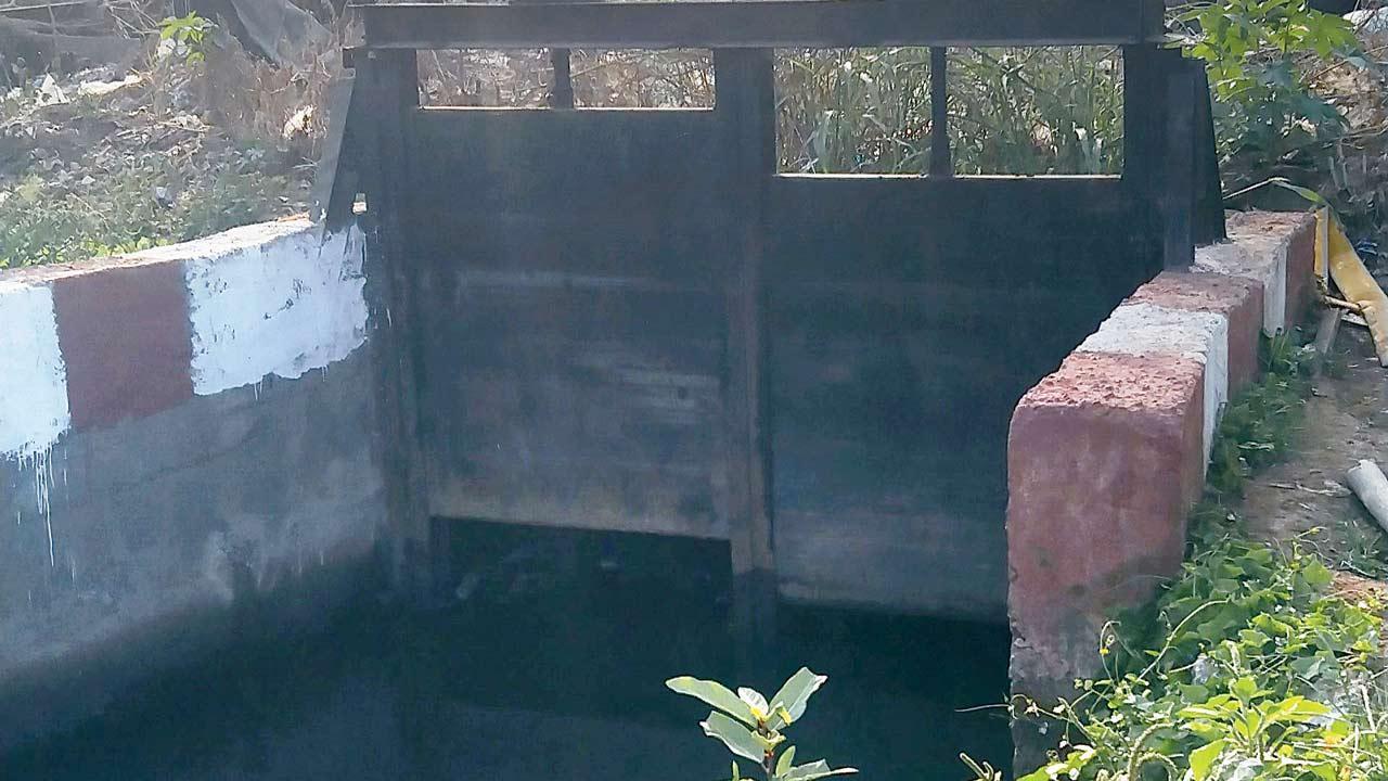 Mumbai: Floodgates raise hopes of fewer waterlogging woes