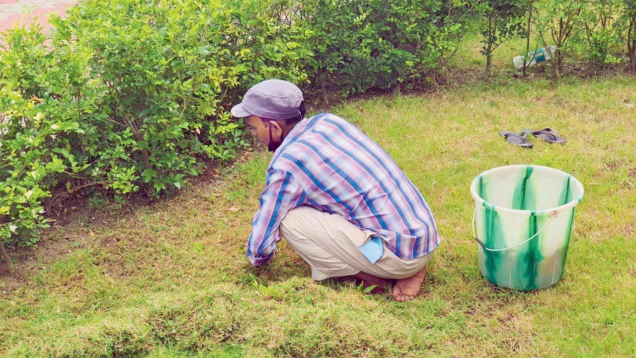 Lessons from servants in Africa