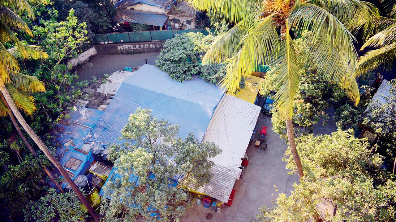 A view of Roque D’Souza’s bungalow in Kalina, Santacruz