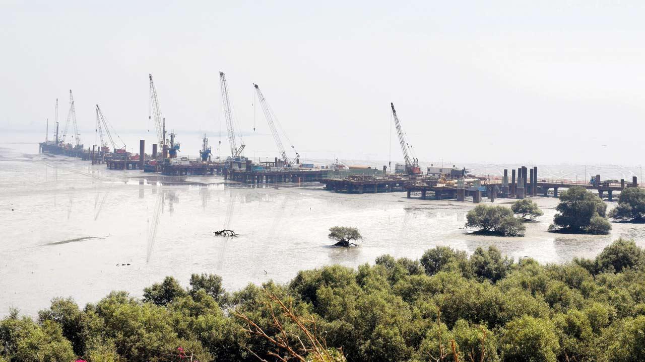 ‘JNPA’s diversion plan will lead to loss of mangroves’